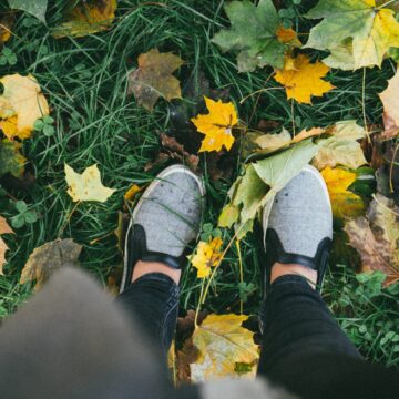 Werken in de tuin najaar